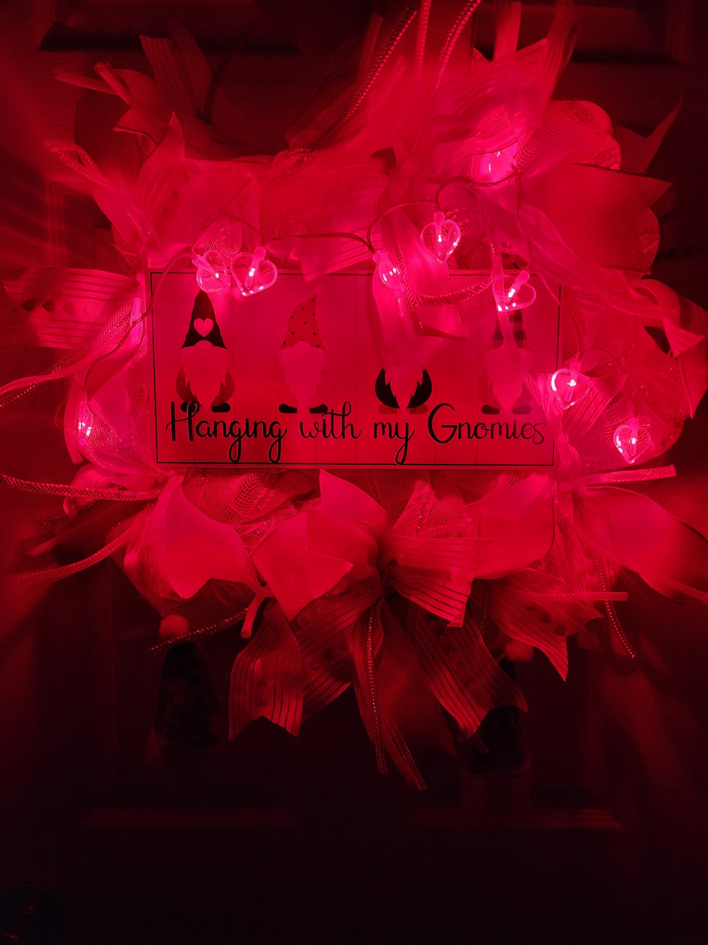 Valentines Hanging with my Gnomies