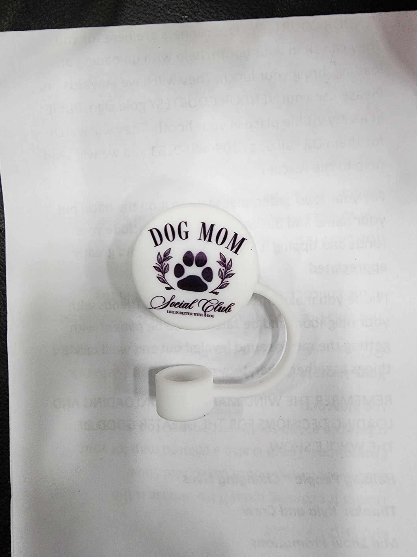 Chunky Bow Straw Topper